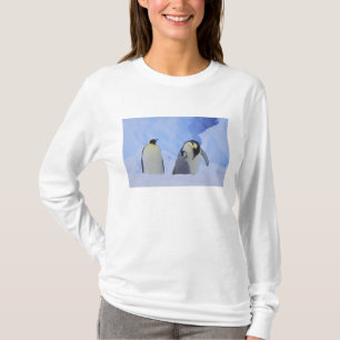 Antarctica. Keizerspinguïns en jong T-shirt