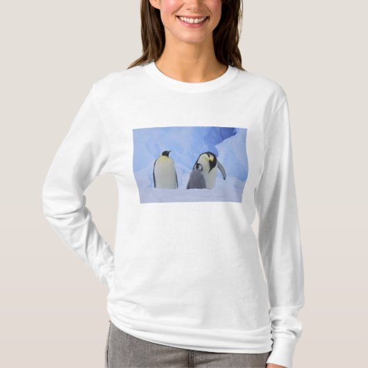 Antarctica. Keizerspinguïns en jong T-shirt (Voorkant)