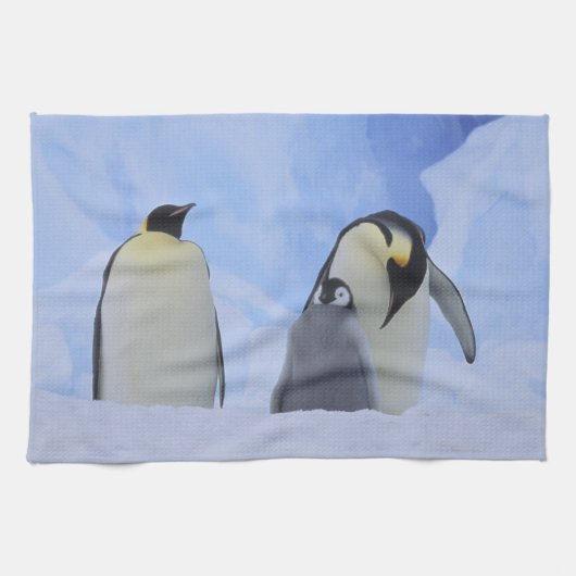 Antarctica. Keizerspinguïns en jong Theedoek (Horizontaal)
