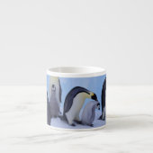 Antarctica, Keizerspinguïns Espresso Kop (Voorkant)