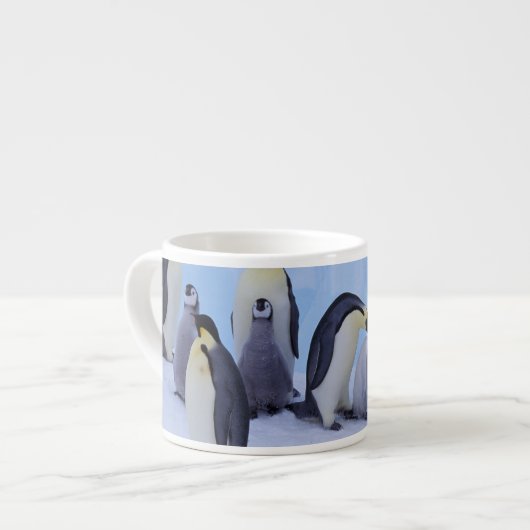 Antarctica, Keizerspinguïns Espresso Kop (Links)