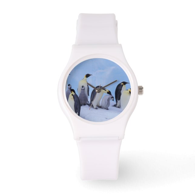 Antarctica, keizerspinguïns horloge (Voorkant)