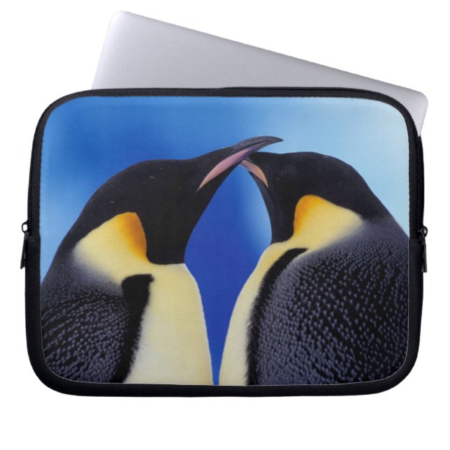 Antarctica, Keizerspinguïns Laptop Sleeve (Voorkant)