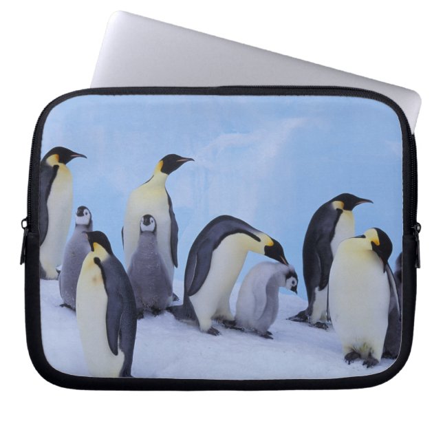 Antarctica, keizerspinguïns laptop sleeve (Voorkant)