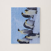 Antarctica, keizerspinguïns legpuzzel (Verticaal)