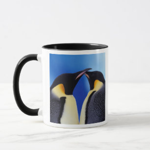 Antarctica, Keizerspinguïns Mok