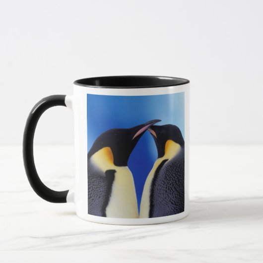 Antarctica, Keizerspinguïns Mok (Links)