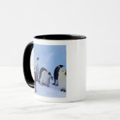 Antarctica, Keizerspinguïns Mok (Voorkant links)