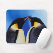 Antarctica, Keizerspinguïns Muismat (Met muis)