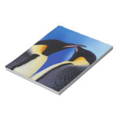 Antarctica, Keizerspinguïns Notitieblok (Linkerzijde)