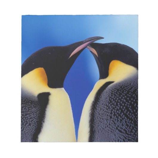 Antarctica, Keizerspinguïns Notitieblok (Voorkant)