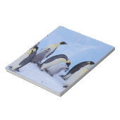 Antarctica, keizerspinguïns notitieblok (Linkerzijde)