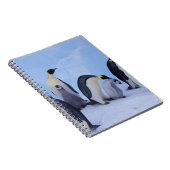 Antarctica, Keizerspinguïns Notitieboek (Rechterzijde)