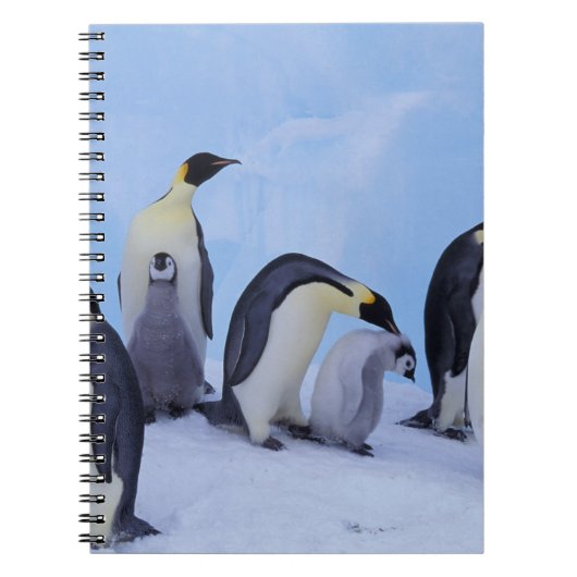Antarctica, Keizerspinguïns Notitieboek (Voorkant)