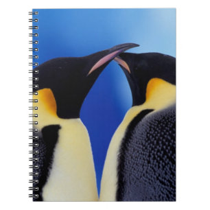 Antarctica, Keizerspinguïns Notitieboek