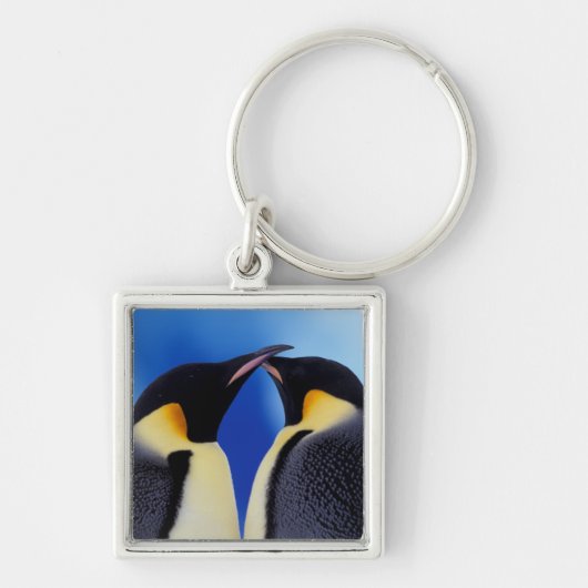 Antarctica, Keizerspinguïns Sleutelhanger (Voorkant)