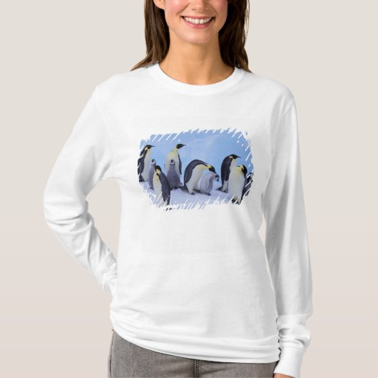 Antarctica, keizerspinguïns t-shirt (Voorkant)