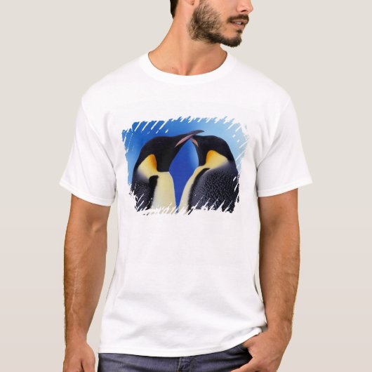 Antarctica, Keizerspinguïns T-shirt (Voorkant)