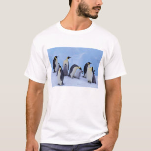 Antarctica, keizerspinguïns t-shirt