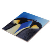 Antarctica, keizerspinguïns tegeltje (Zijkant)