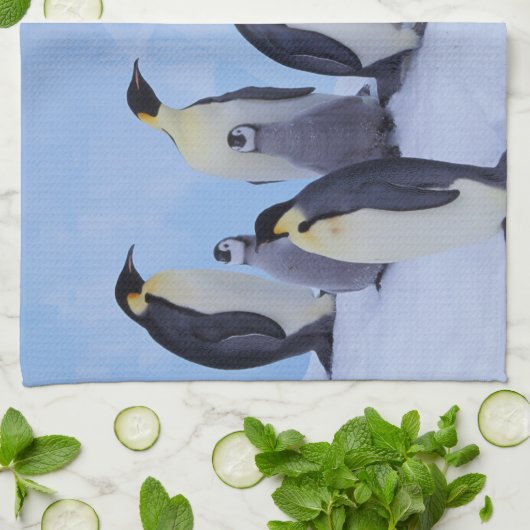 Antarctica, keizerspinguïns theedoek (Gevouwen)