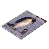 Antarctica Moederpinguïn strandt op baby Notitieboek (Linkerzijde)