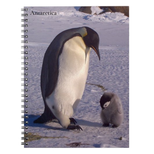 Antarctica Moederpinguïn strandt op baby Notitieboek (Voorkant)