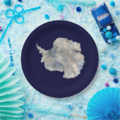 Antarctica (NASA Blue Marble Imagery) Papieren Bordje (Feest)