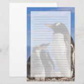 Antarctica, Neko Cove (Haven). Ezelspinguïn 2 Briefpapier (Voorkant / Achterkant)