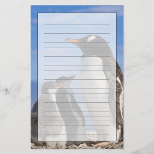 Antarctica, Neko Cove (Haven). Ezelspinguïn 2 Briefpapier (Voorkant)