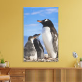 Antarctica, Neko Cove (Haven). Ezelspinguïn 2 Canvas Afdruk (Insitu (Woonkamer))