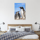 Antarctica, Neko Cove (Haven). Ezelspinguïn 2 Canvas Afdruk (Insitu (Slaapkamer))