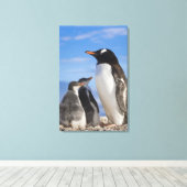 Antarctica, Neko Cove (Haven). Ezelspinguïn 2 Canvas Afdruk (Insitu (Houten vloer))
