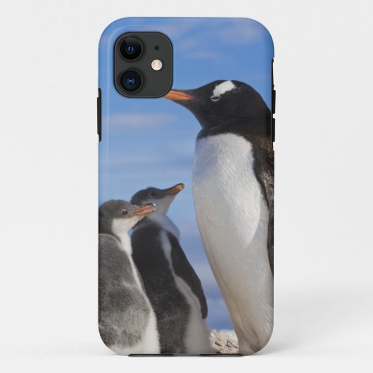 Antarctica, Neko Cove (Haven). Ezelspinguïn 2 Case-Mate iPhone Case (Achterkant)