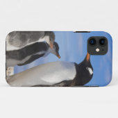 Antarctica, Neko Cove (Haven). Ezelspinguïn 2 Case-Mate iPhone Case (Achterkant (horizontaal))
