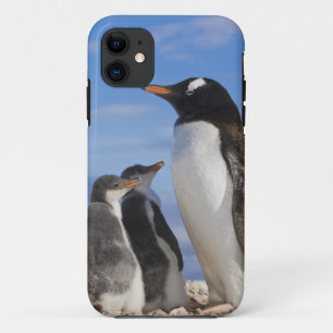 Antarctica, Neko Cove (Haven). Ezelspinguïn 2 iPhone 11 Hoesje