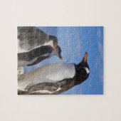 Antarctica, Neko Cove (Haven). Ezelspinguïn 2 Legpuzzel (Horizontaal)
