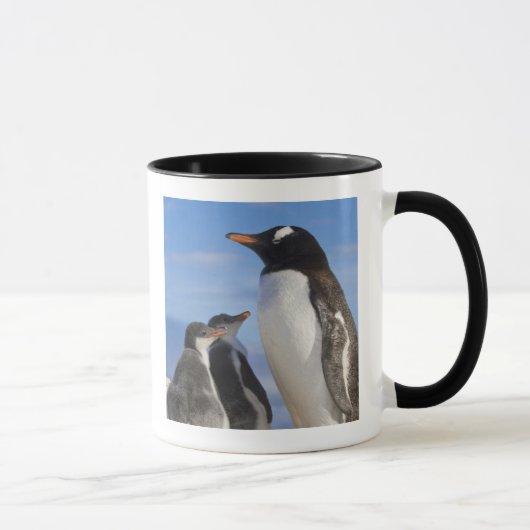 Antarctica, Neko Cove (Haven). Ezelspinguïn 2 Mok (Rechts)