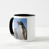 Antarctica, Neko Cove (Haven). Ezelspinguïn 2 Mok (Voorkant links)