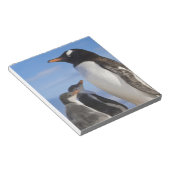 Antarctica, Neko Cove (Haven). Ezelspinguïn 2 Notitieblok (Schuin)