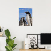 Antarctica, Neko Cove (Haven). Ezelspinguïn 2 Poster (Thuiskantoor)
