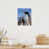 Antarctica, Neko Cove (Haven). Ezelspinguïn 2 Poster (Keuken)