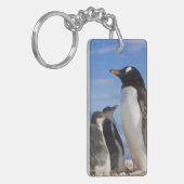 Antarctica, Neko Cove (Haven). Ezelspinguïn 2 Sleutelhanger (Voorkant Links)