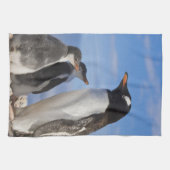 Antarctica, Neko Cove (Haven). Ezelspinguïn 2 Theedoek (Horizontaal)