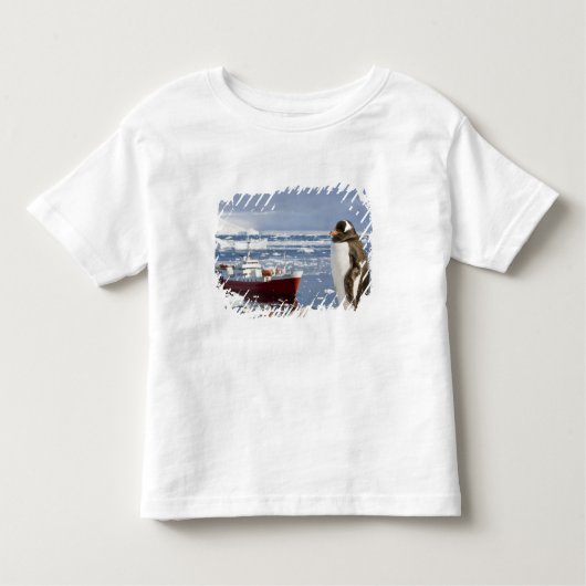 Antarctica, Neko Cove (haven). Gentoo penguin Kinder Shirts (Voorkant)
