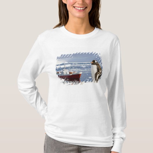 Antarctica, Neko Cove (haven). Gentoo penguin T-shirt (Voorkant)