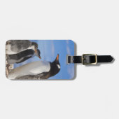 Antarctica, Neko Cove (haven). Gentoo pguin 2 Bagagelabel (Voorkant horizontaal)