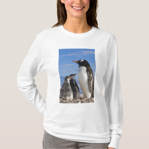 Antarctica, Neko Cove (haven). Gentoo pguin 2 T-shirt