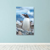 Antarctica. Neko Harbor. Ezelspinguïn Canvas Afdruk (Insitu (Houten vloer))