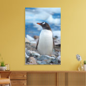 Antarctica. Neko Harbor. Ezelspinguïn Canvas Afdruk (Insitu (Woonkamer))